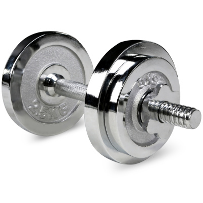 Гантель наборная IRON PEOPLE IR92048 хром 10кг