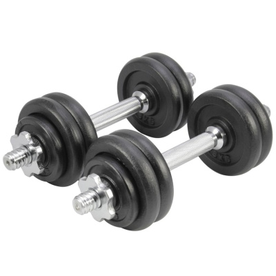 Набор гантелей Start UP HD2100 в пл. чемодане 15кг (2x7,5кг)