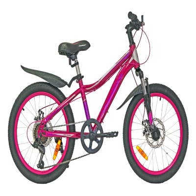 Велосипед 20" Nameless S2200DW, розовый/серый 11"