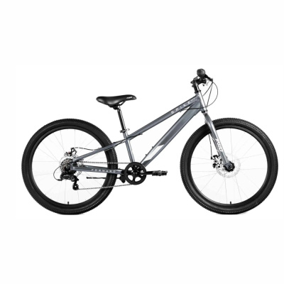 Велосипед FORWARD SPIKE 24 D (24" 7 ск. рост. 11") 2023, серый/серебристый