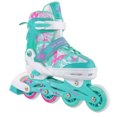 Раздвижные роликовые коньки Soul Mint L(39-42)