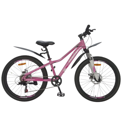 Велосипед 24" Nameless S4300DW, розовый