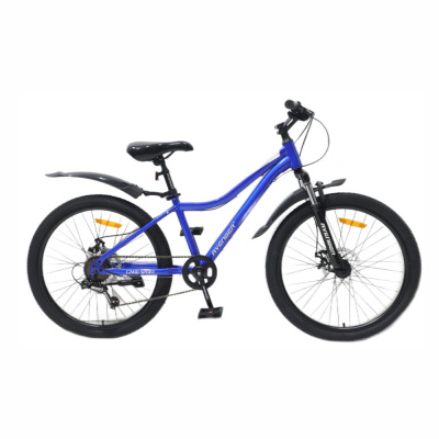 Велосипед 24" AVENGER C241D, синий/серебристый