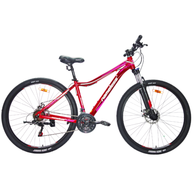 Велосипед 29" NAMELESS J9500DW фиолетовый 17"