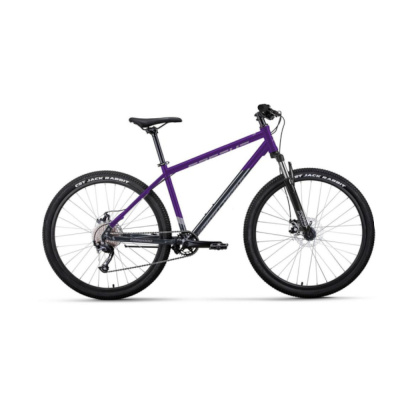 Велосипед FORWARD APACHE 29 2.0 D (29" 8 ск. рост. 21") 2023, фиолетовый/темно-серый, RB3F980DAXVTDG